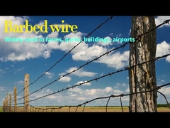 High Tensile Strength Galvanized Barbed Wire Fencing Barbed Wire 100m