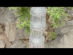 1.8mm Thickness Field Fence Farming Goats Hot Dipped Galvanzied