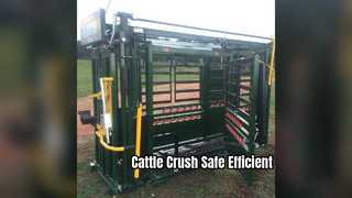 Cattle Crush Machine For Sale