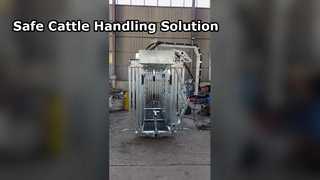 Hydralic Galvanized Cattle Crush  With Scale Weighing 